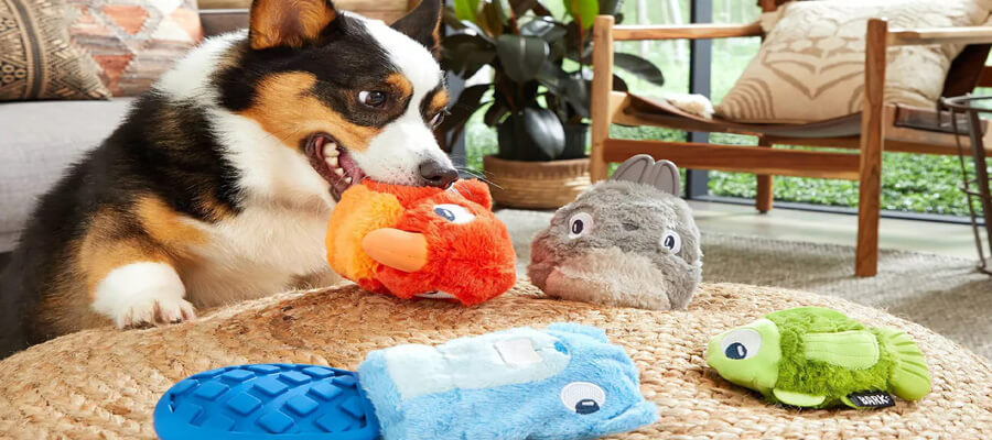 The Best Dog Toys for Heavy Chewers